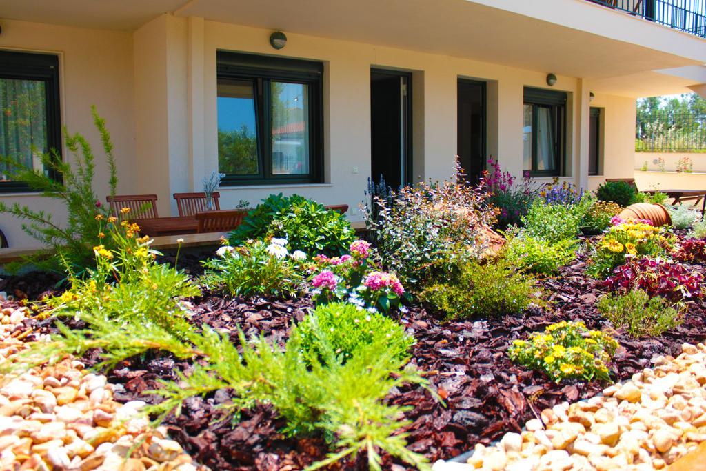 Olive Tree Apartments Fourka Bilik gambar