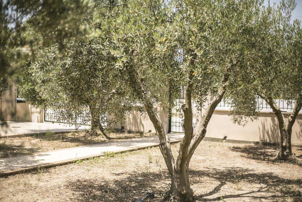 Olive Tree Apartments Fourka Luaran gambar