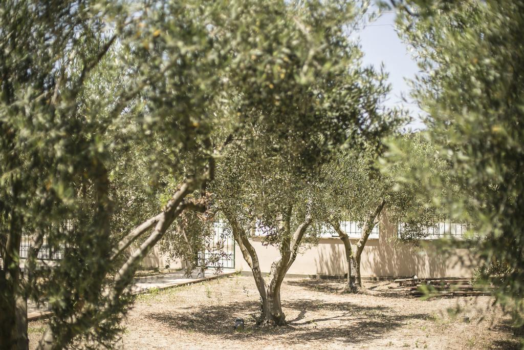 Olive Tree Apartments Fourka Luaran gambar