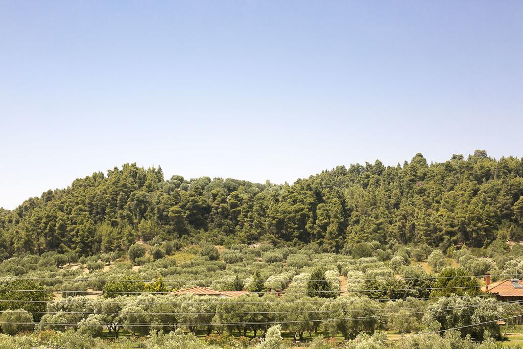 Olive Tree Apartments Fourka Luaran gambar